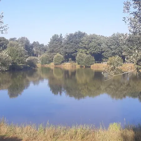 Campsite Mobile 6 Personnes-3