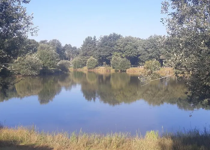 キャンプ場 Mobile 6 Personnes-3