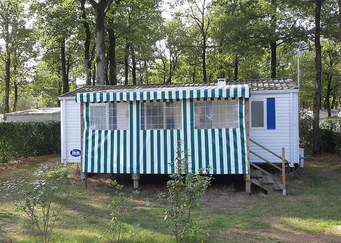 キャンプ場 Mobile 6 Personnes-3 *